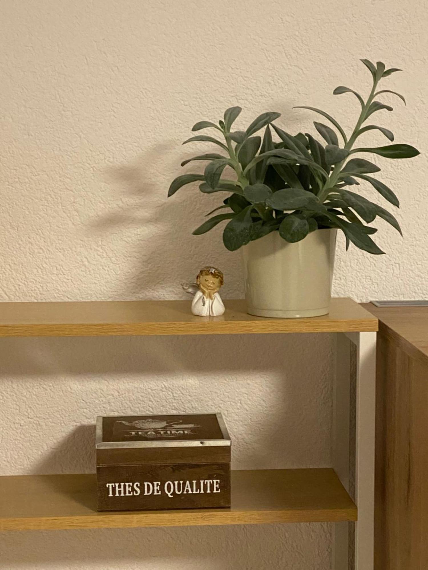 2 Zimmer Ferienunterkunft Gemeinsame Zeit Appenweier Bagian luar foto